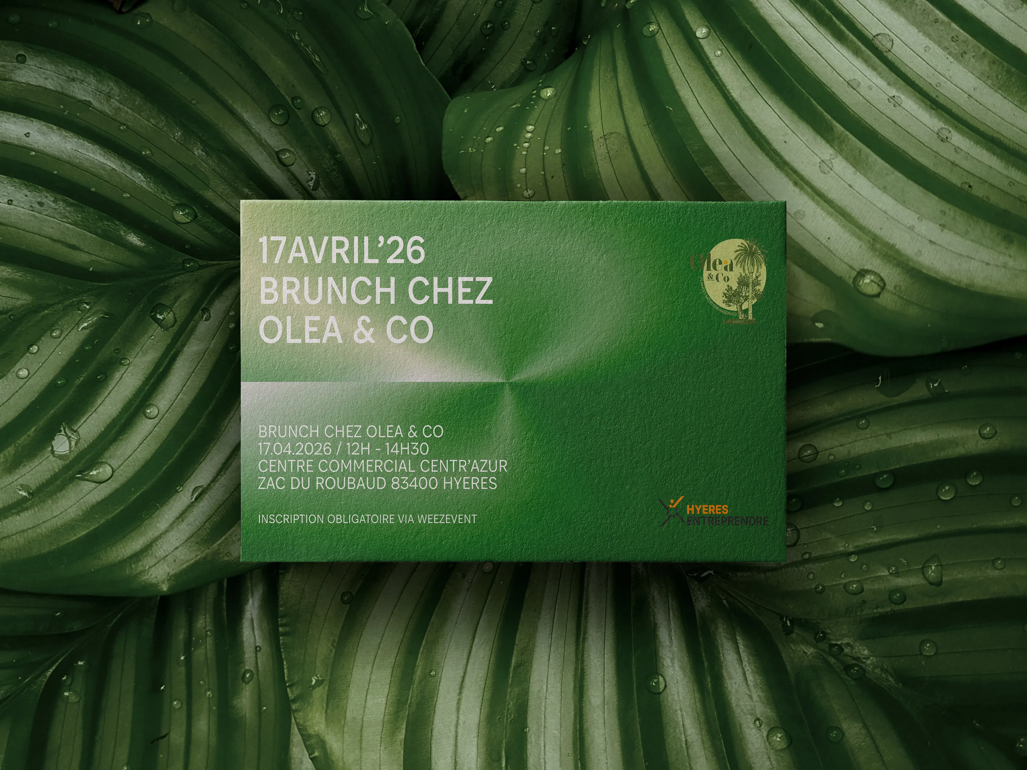 Invitation au brunch chez Olea & Co, posée sur un feuillage vert